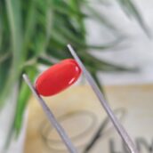 2.50 Carat –  Coral (Moonga)