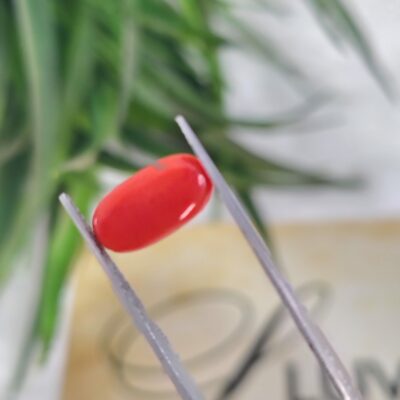 2.50 Carat – Coral (Moonga)