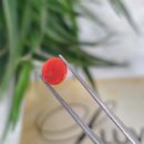 1.95 Carat – Natural Coral (Moonga)