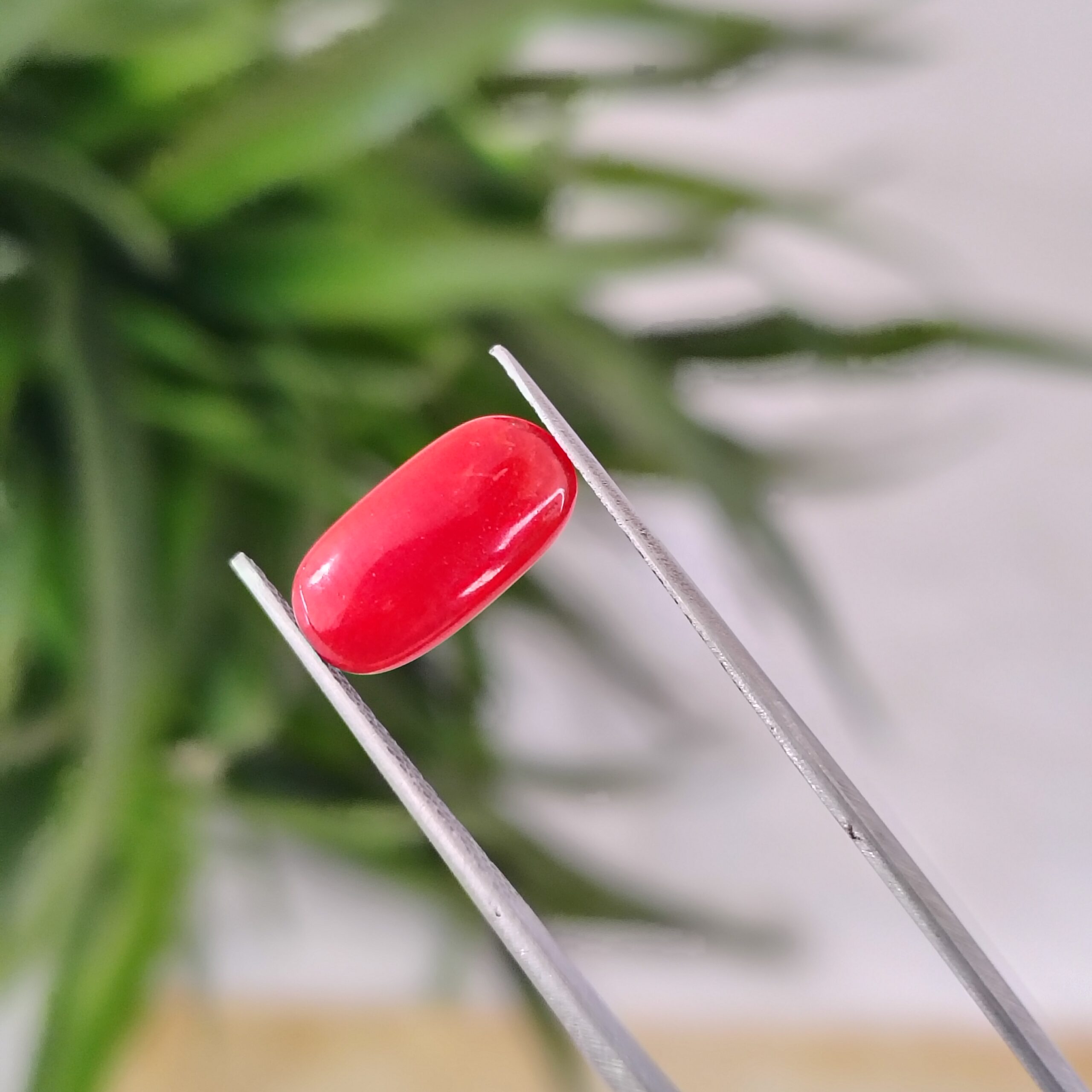 2.41 Carat – Natural Coral (Moonga)