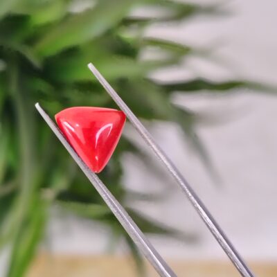 2.51 Carat – Natural Coral (Moonga)