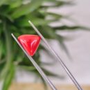 2.51 Carat – Natural Coral (Moonga)