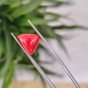 2.51 Carat – Natural Coral (Moonga)