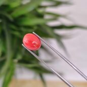 2.72 Carat – Natural Coral (Moonga)