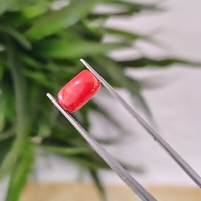 3.55 Carat – Natural Coral (Moonga)