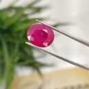 7.58 Carats Natural Ruby