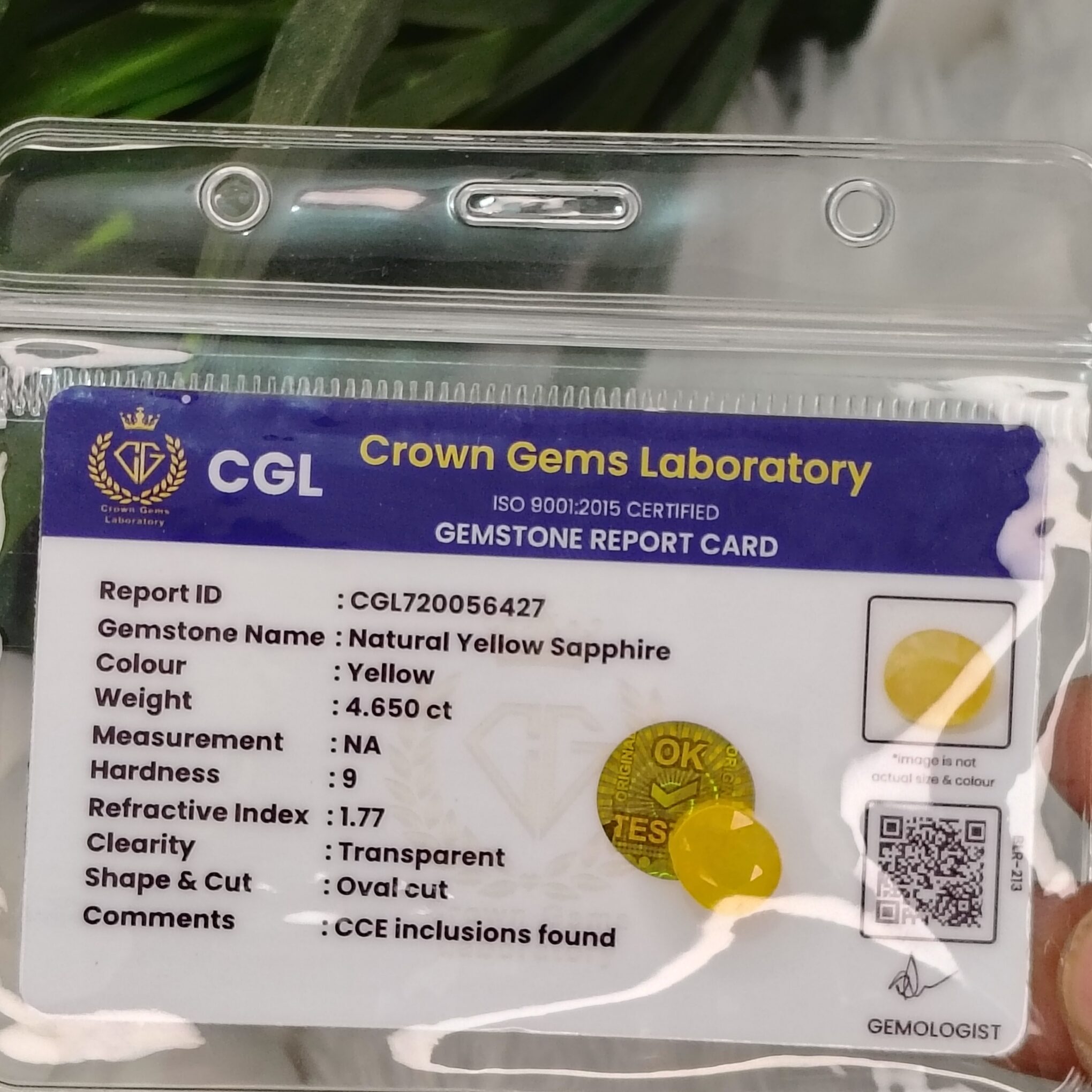 4.650 Carat – Natural Yellow Sapphire - Image 2