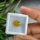 4.950 Carats Natural Yellow Sapphire (Pukhraj)