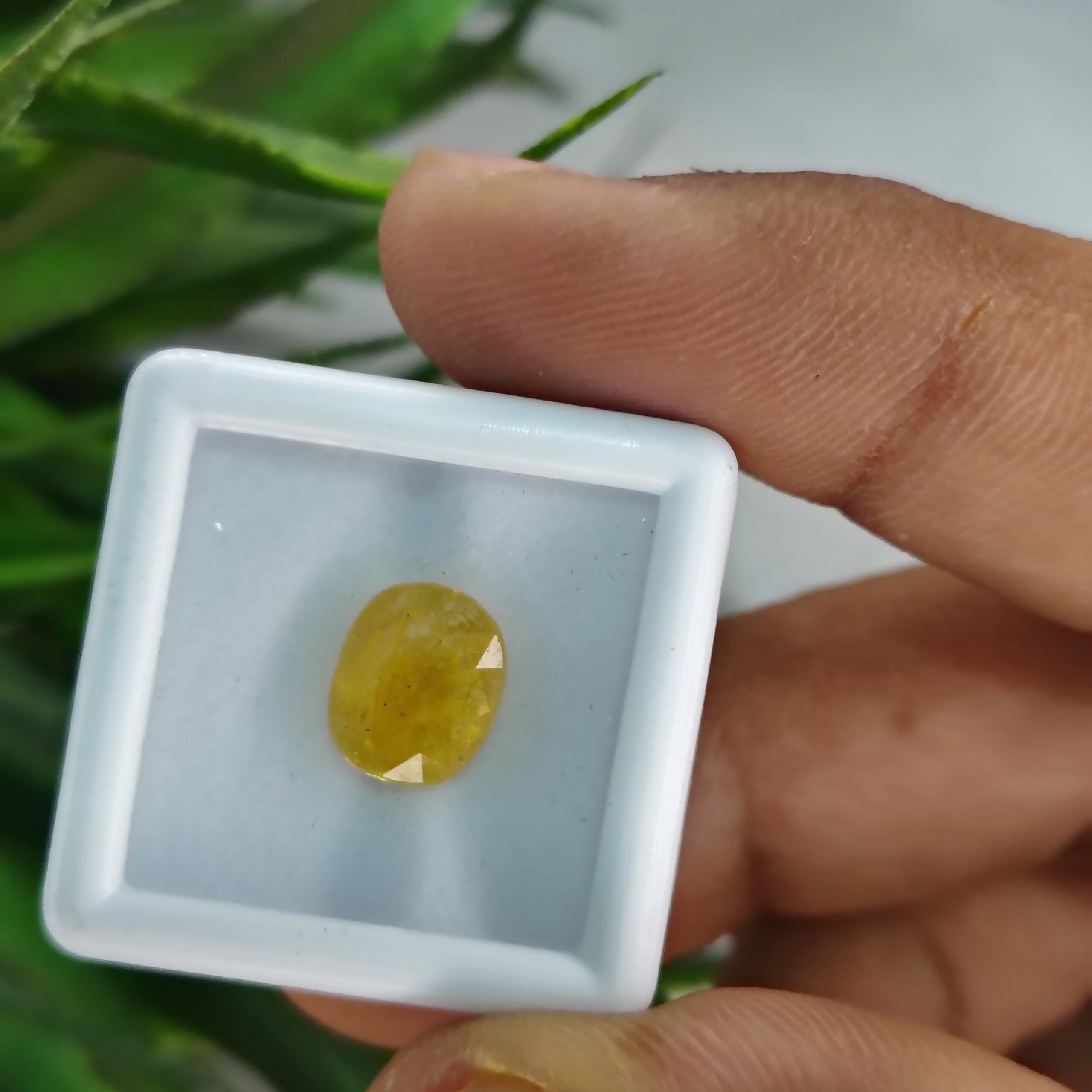 4.800 Carats Natural Yellow Sapphire (Pukhraj)