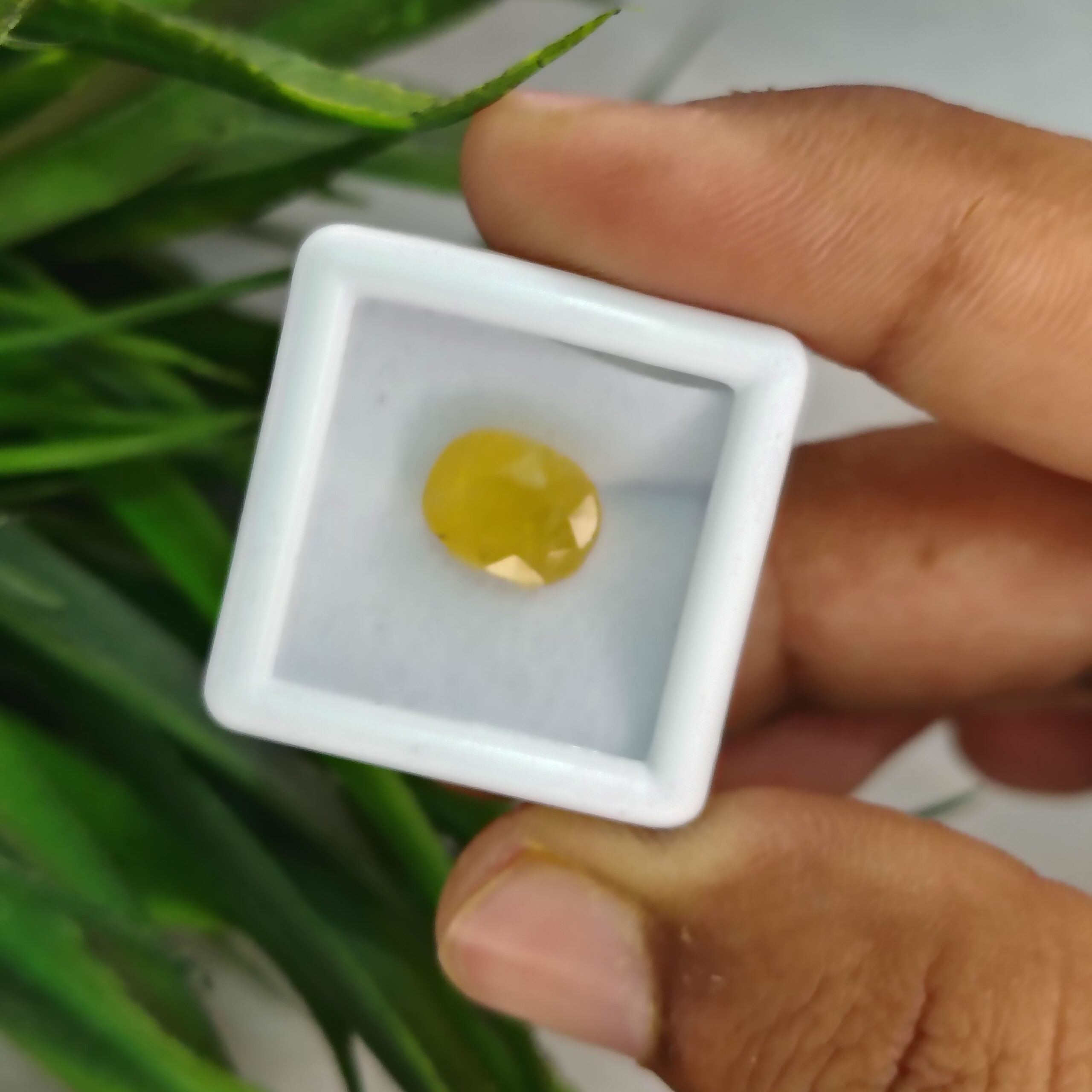 4.800 Carats Natural Yellow Sapphire (Pukhraj)