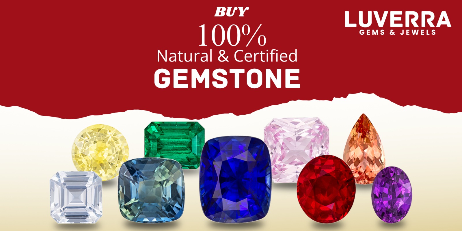 WhatsApp Image 2026-02-19 at 12.24.07 PM