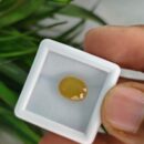 4.650 Carats Natural Yellow Sapphire (Pukhraj)