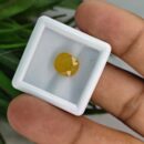 5.600 Carats Natural Yellow Sapphire (Pukhraj)