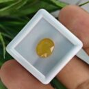 5.400 Carats Natural Yellow Sapphire (Pukhraj)