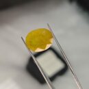 9.600 Carat Natural Yellow Sapphire (Pukhraj)