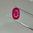 4.55 Carat Natural Ruby (Manik)