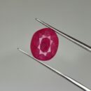 5.95 Carat Natural Ruby (Manik)