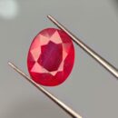 4.800 Carat Natural Ruby (Manik)