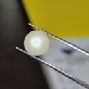 5.45 Carat Natural Moti (Pearl)