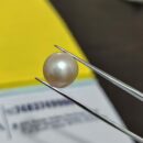 6.05 Carat Natural Moti (Pearl)