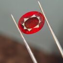 4.100 Carat Natural Gomed (Hessonite) – Certified Original Gemstone for Protection, Stability & Financial Growth | Premium Gomed Stone Online India