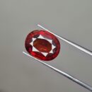 5.500 Ct Natural Gomed – Certified Sri Lanka Rahu Stone for Stability & Protection